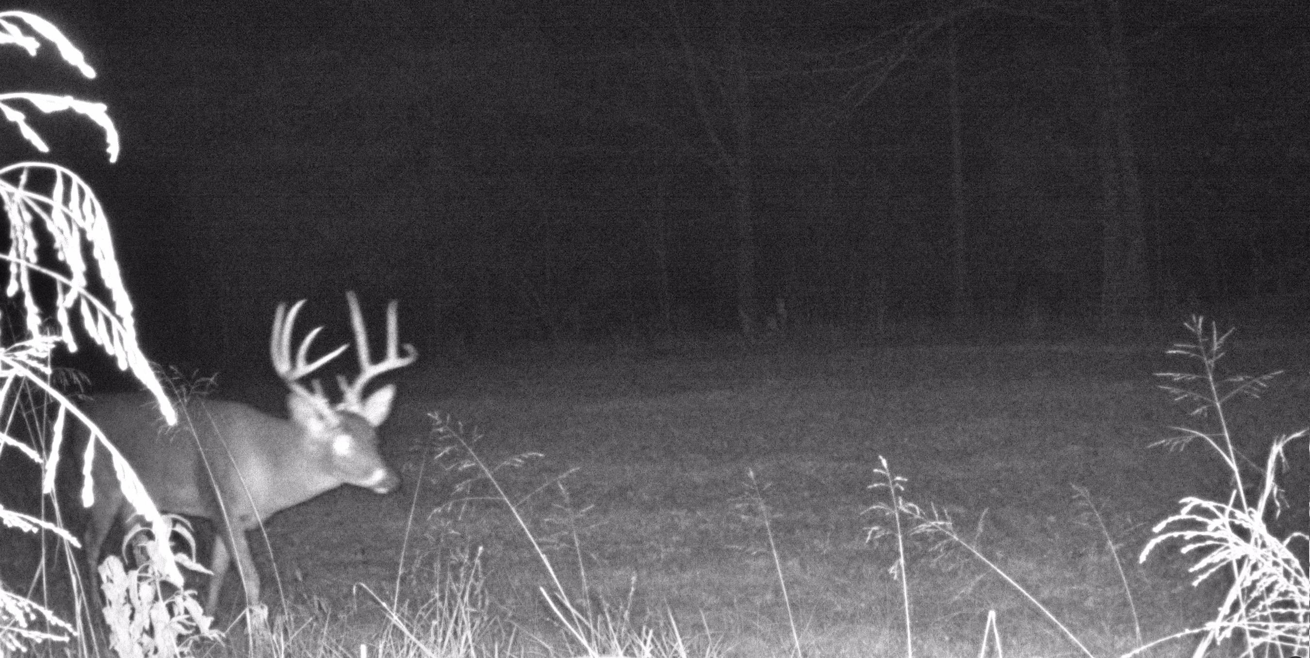 2525 Pittman Road Somerville, TN 38068 - Photo 26 of 38 Additional content