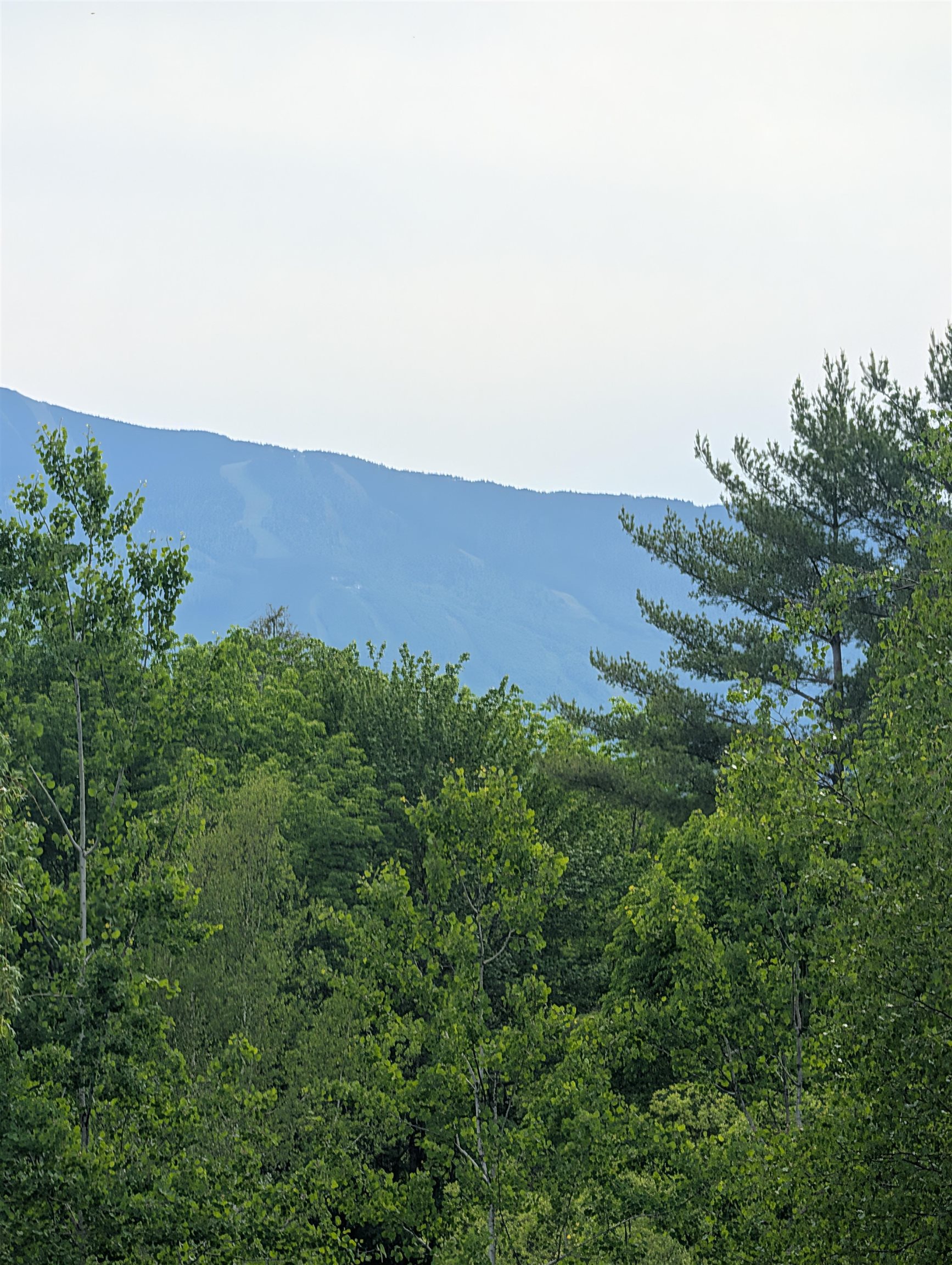 99 Bushnell Road Waitsfield, VT 05673 - Photo 56 of 56