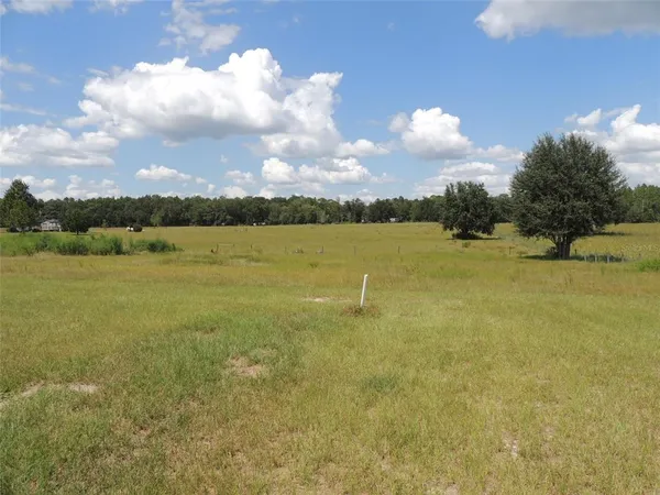 a view of an ocean and beach