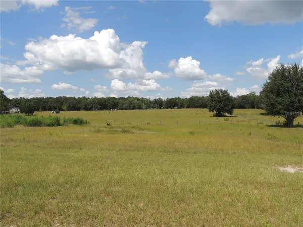 a view of house with backyard and trees in the background