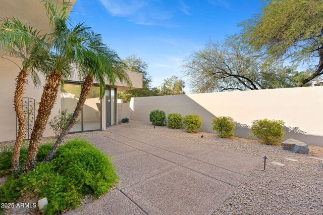 a view of backyard with a garden and palm trees