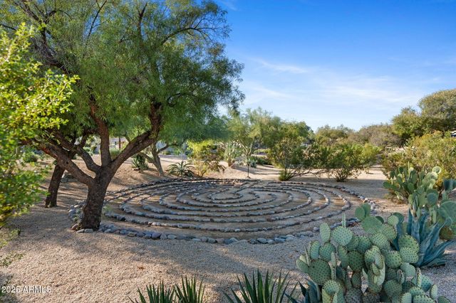 a view of a plant in a garden