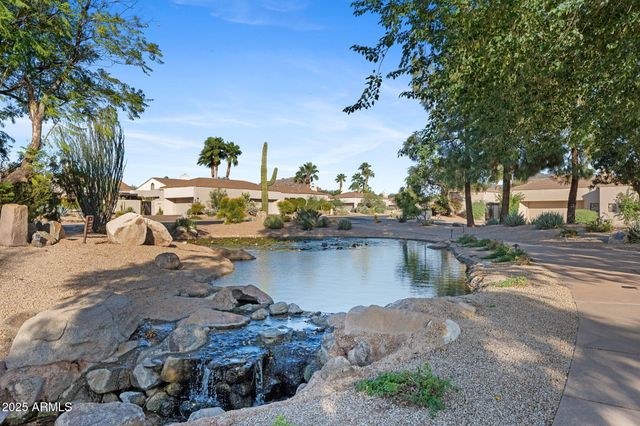 a view of a park with large trees