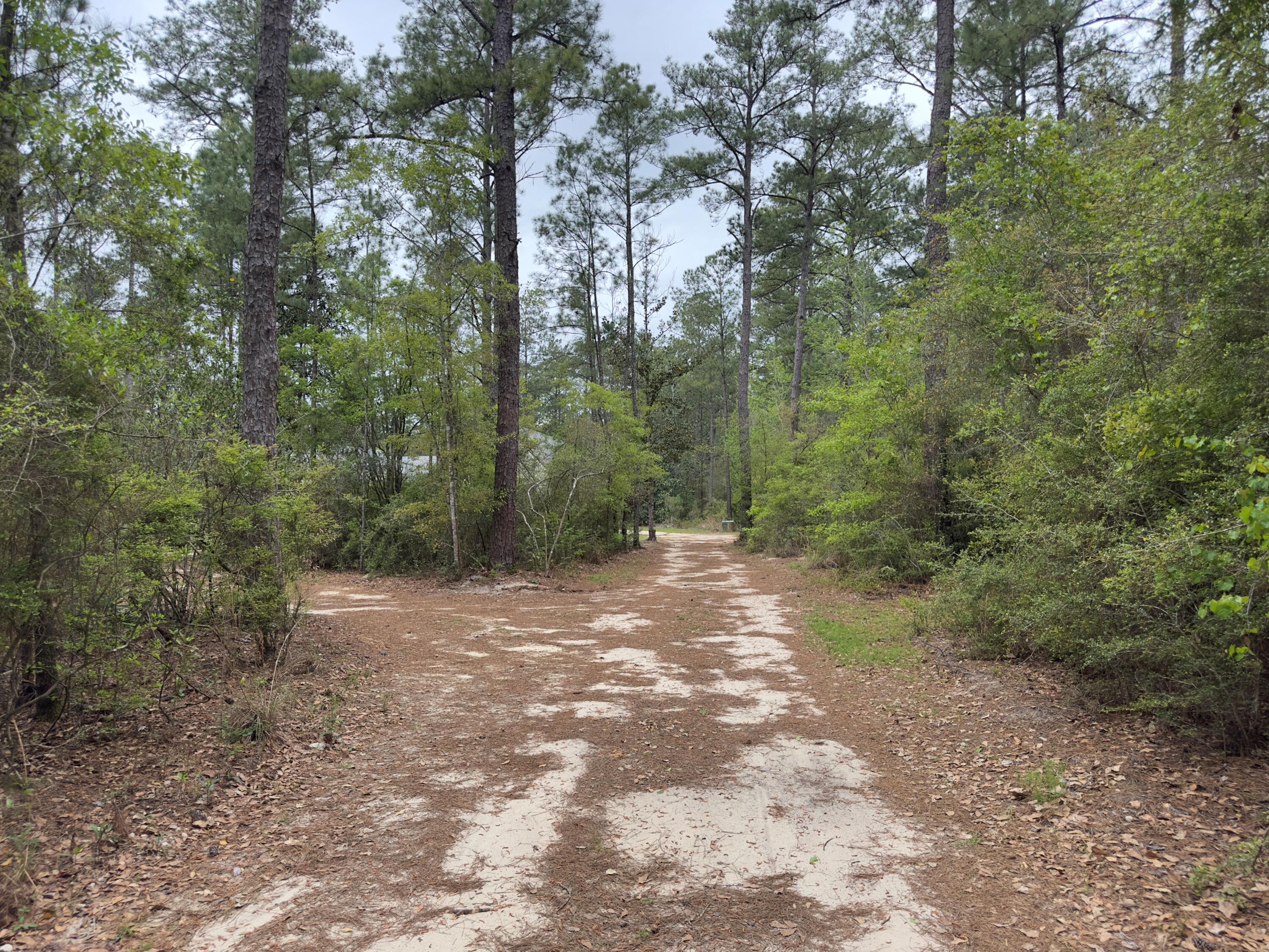 285 J W Hollington Road Freeport, FL 32439 - Photo 24 of 25 Image 24