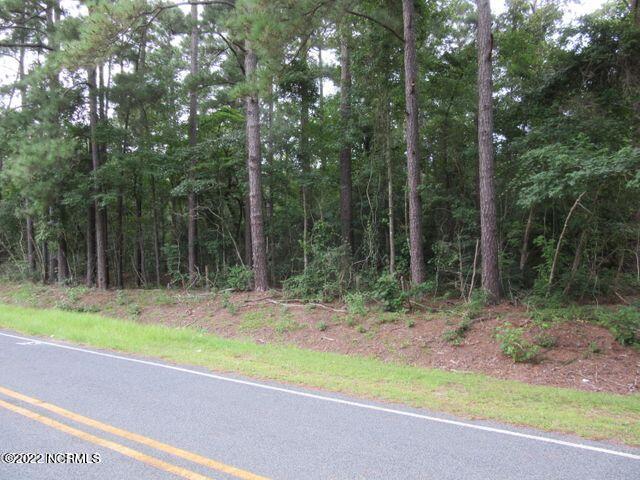 484 John Spaulding Road Whiteville, NC 28472 - Photo 1 of 2