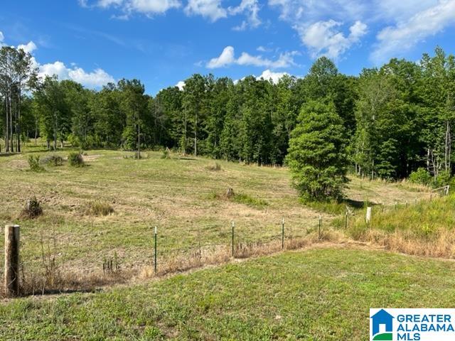 8134 Clairmont Springs Road Lineville, AL 36266 - Photo 7 of 36