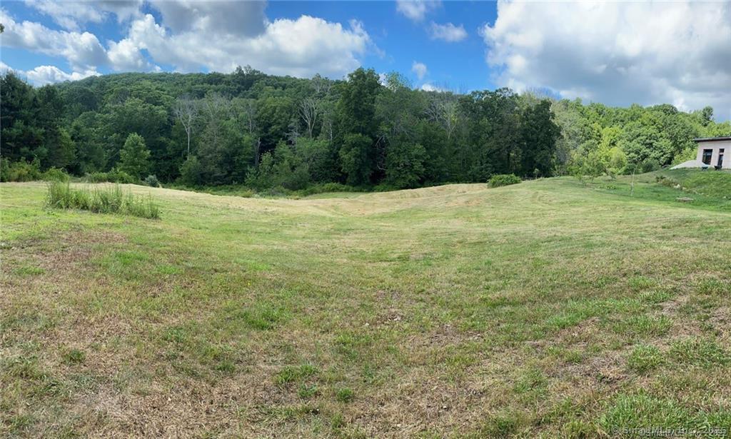 a big yard with lots of green space