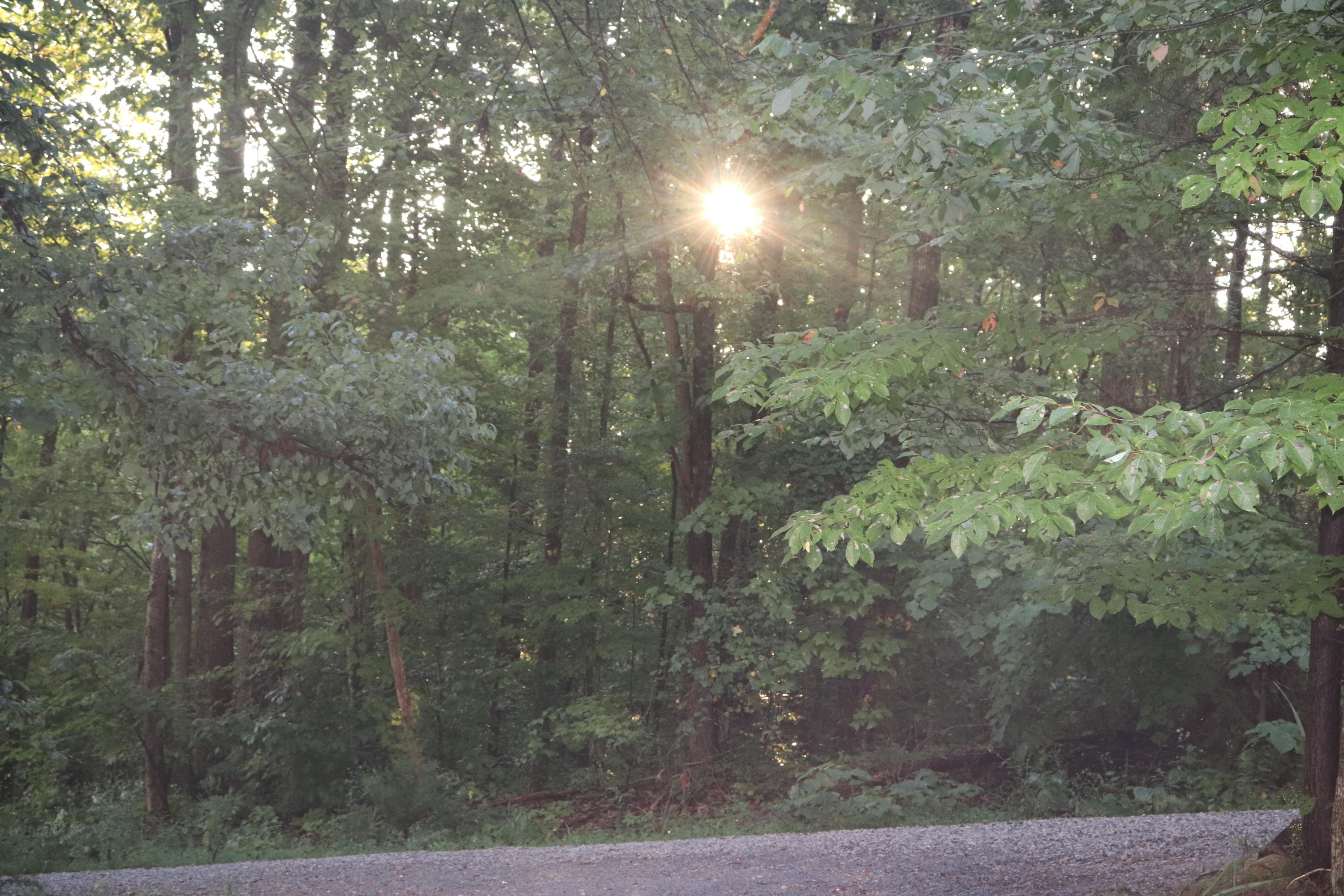 Starr Mountain Road Englewood, TN 37329 - Photo 2 of 2 IMG_0076 (1)