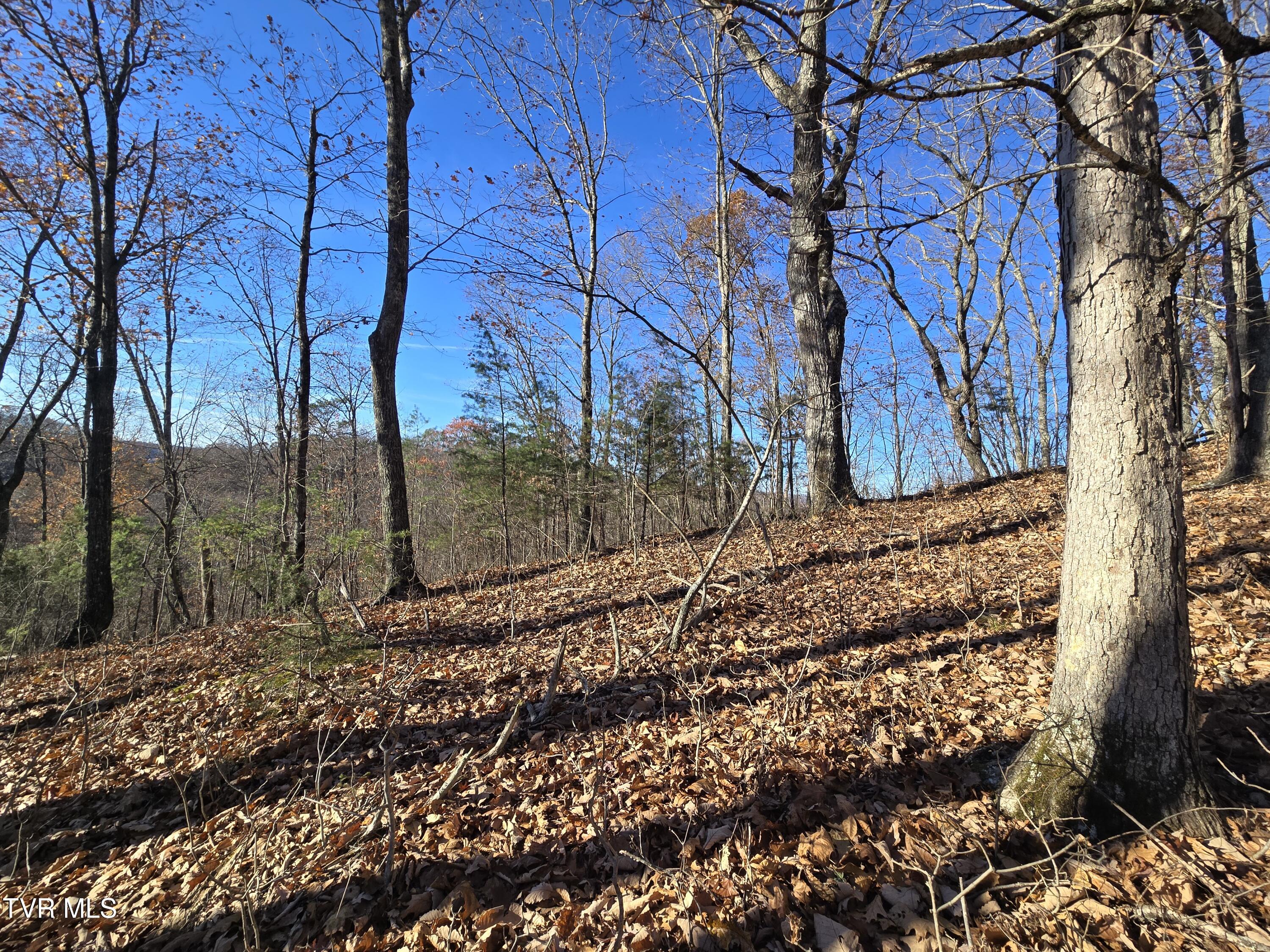 Tbd Lloyds Chapel Road Mount Carmel, TN 37645 - Photo 11 of 18 Vacant land