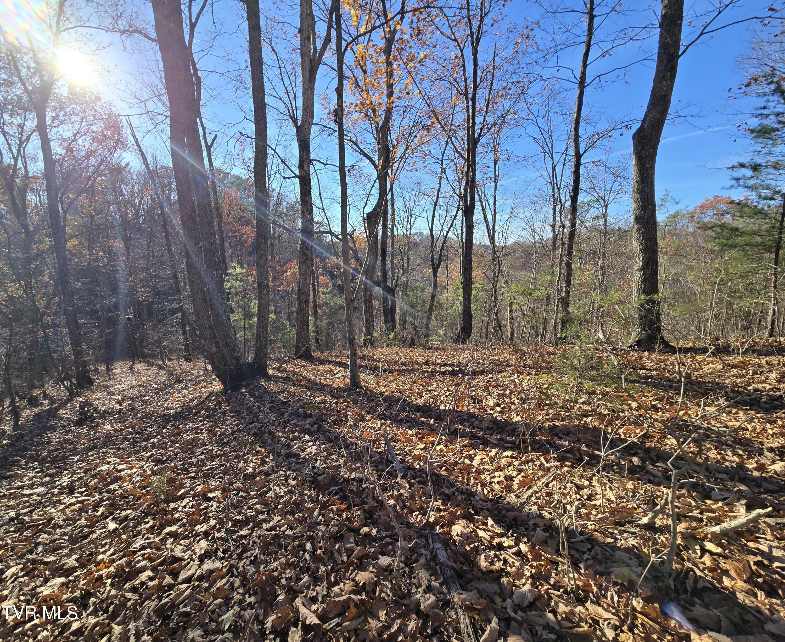 Tbd Lloyds Chapel Road Mount Carmel, TN 37645 - Photo 12 of 18 Vacant land