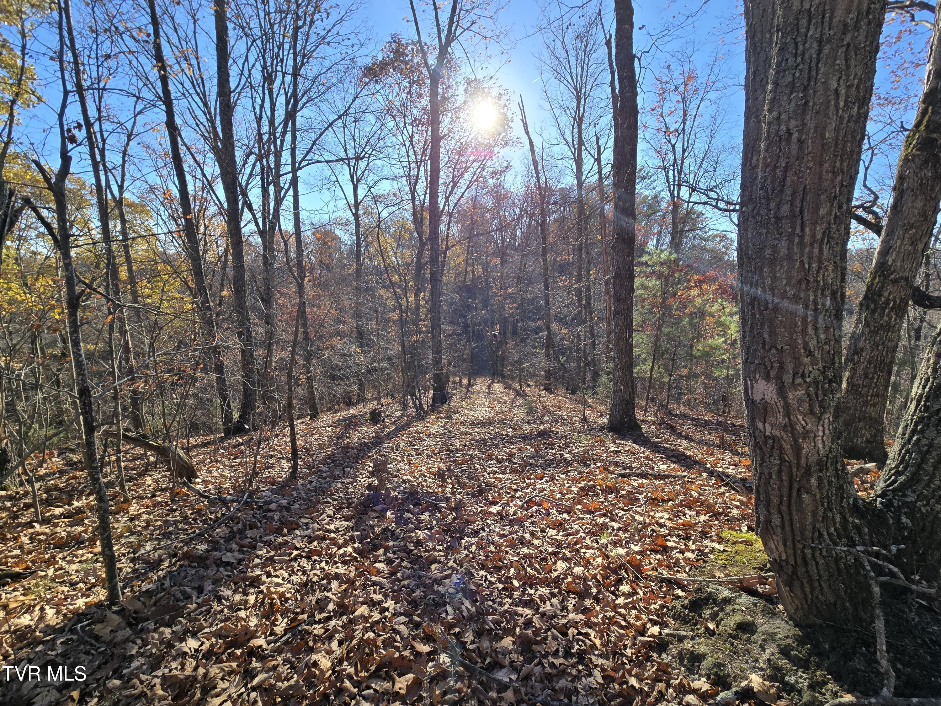 Tbd Lloyds Chapel Road Mount Carmel, TN 37645 - Photo 13 of 18 Vacant land