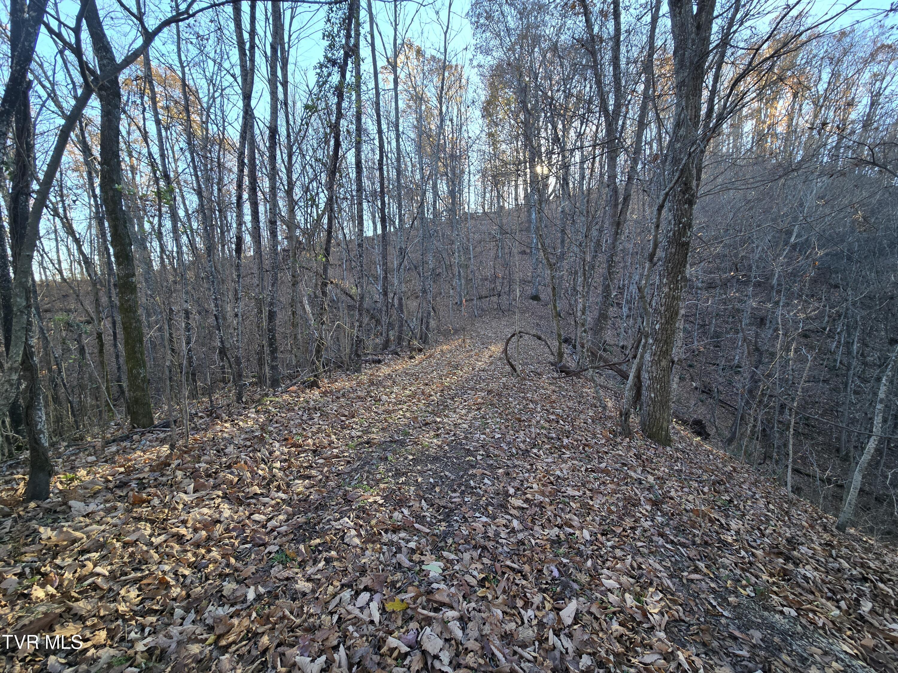 Tbd Lloyds Chapel Road Mount Carmel, TN 37645 - Photo 14 of 18 Vacant land