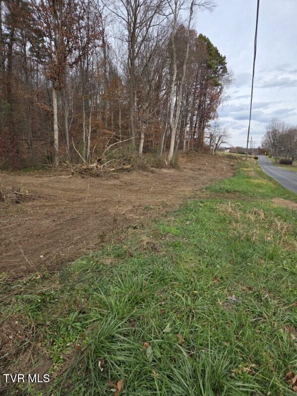 Tbd Lloyds Chapel Road Mount Carmel, TN 37645 - Photo 15 of 18 Vacant land