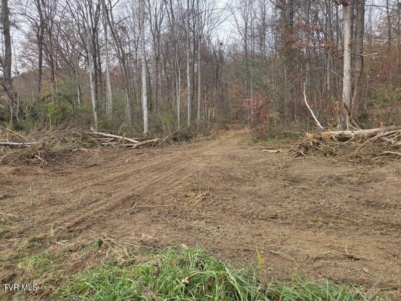 Tbd Lloyds Chapel Road Mount Carmel, TN 37645 - Photo 16 of 18 Vacant land