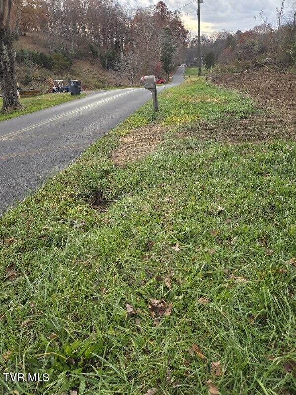 Tbd Lloyds Chapel Road Mount Carmel, TN 37645 - Photo 17 of 18 Vacant land