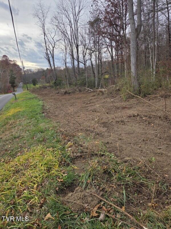 Tbd Lloyds Chapel Road Mount Carmel, TN 37645 - Photo 18 of 18 Vacant land
