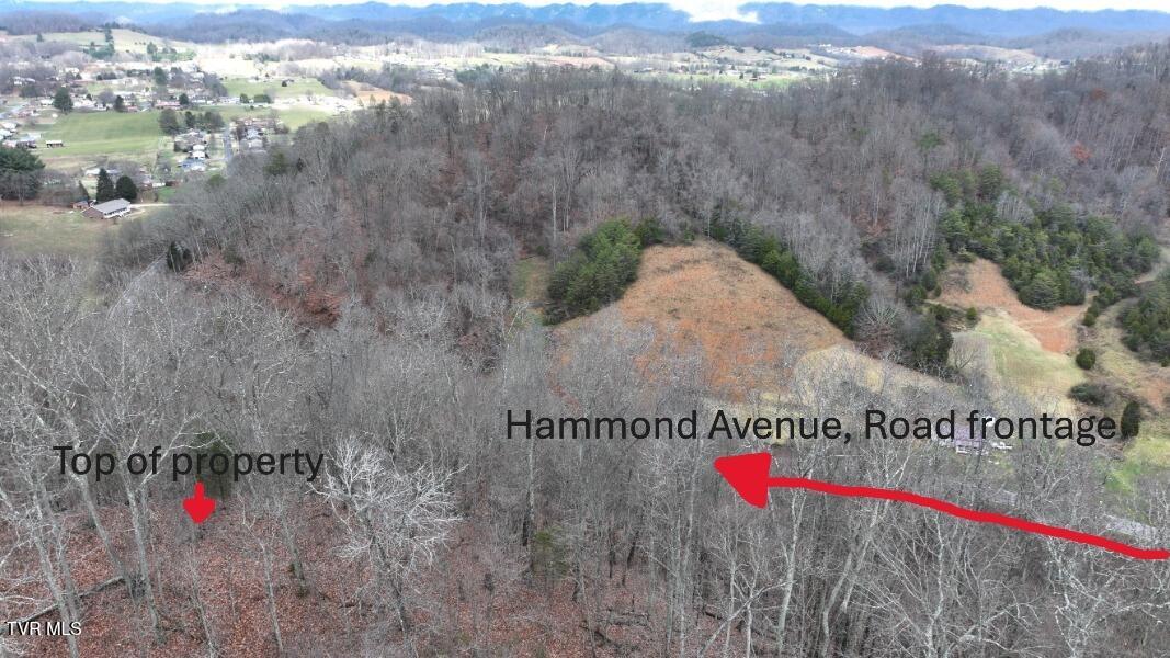 Tbd Lloyds Chapel Road Mount Carmel, TN 37645 - Photo 4 of 18 Vacant land