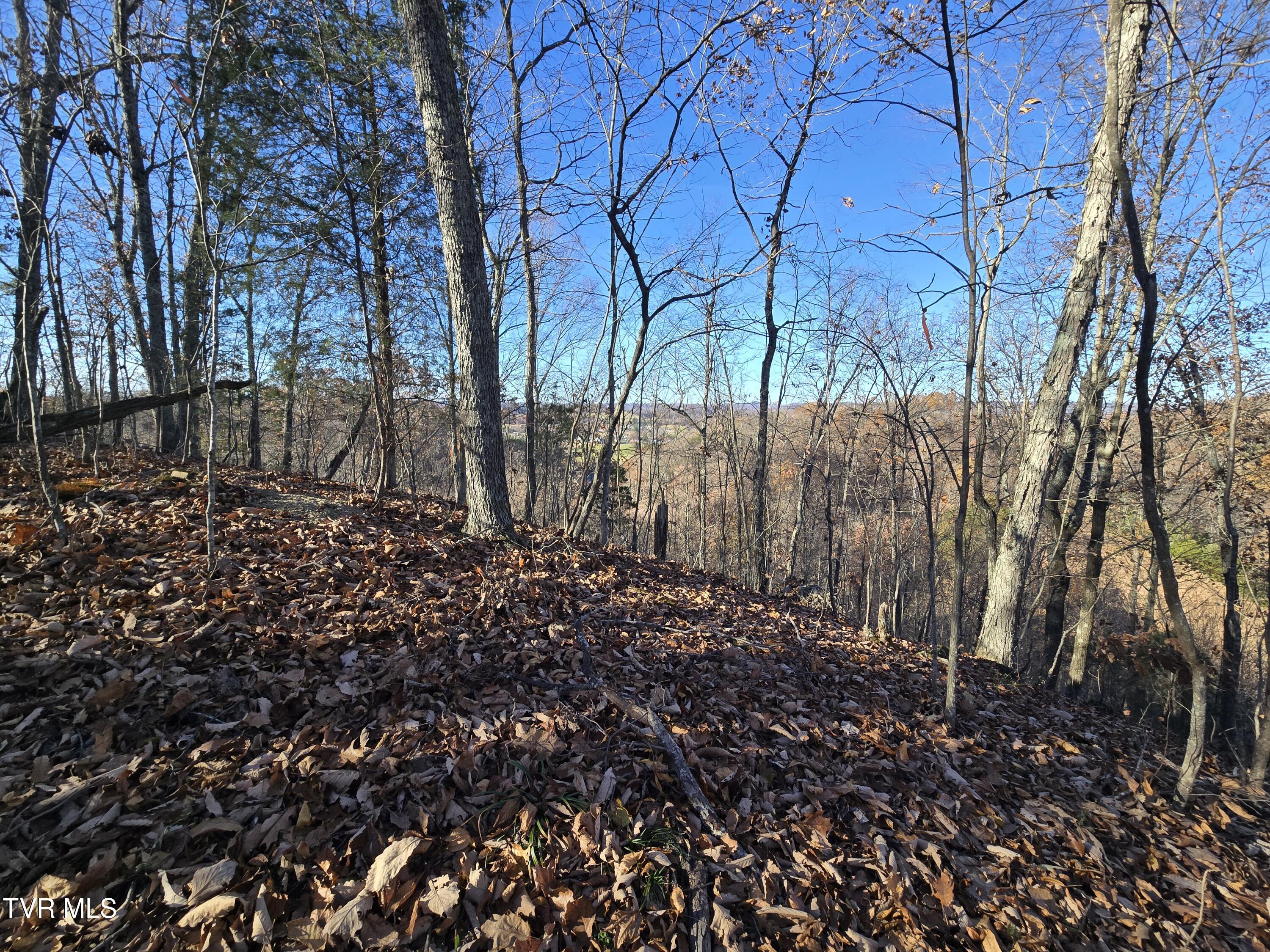 Tbd Lloyds Chapel Road Mount Carmel, TN 37645 - Photo 6 of 18 Vacant land