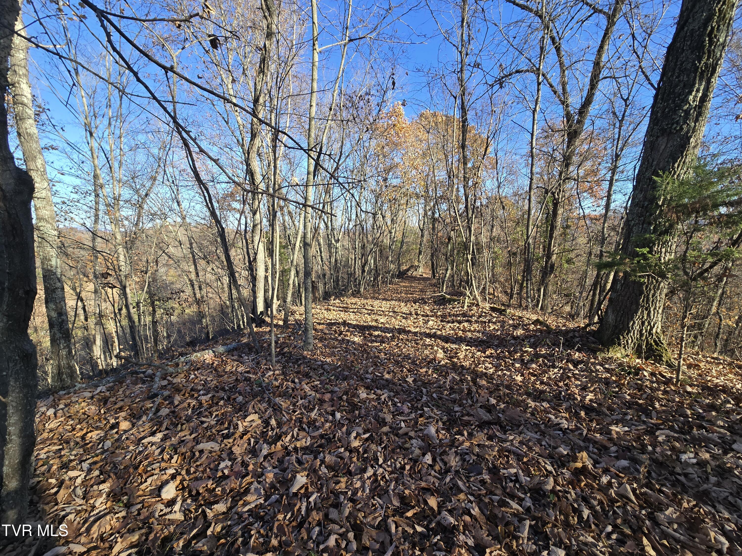 Tbd Lloyds Chapel Road Mount Carmel, TN 37645 - Photo 7 of 18 Vacant land