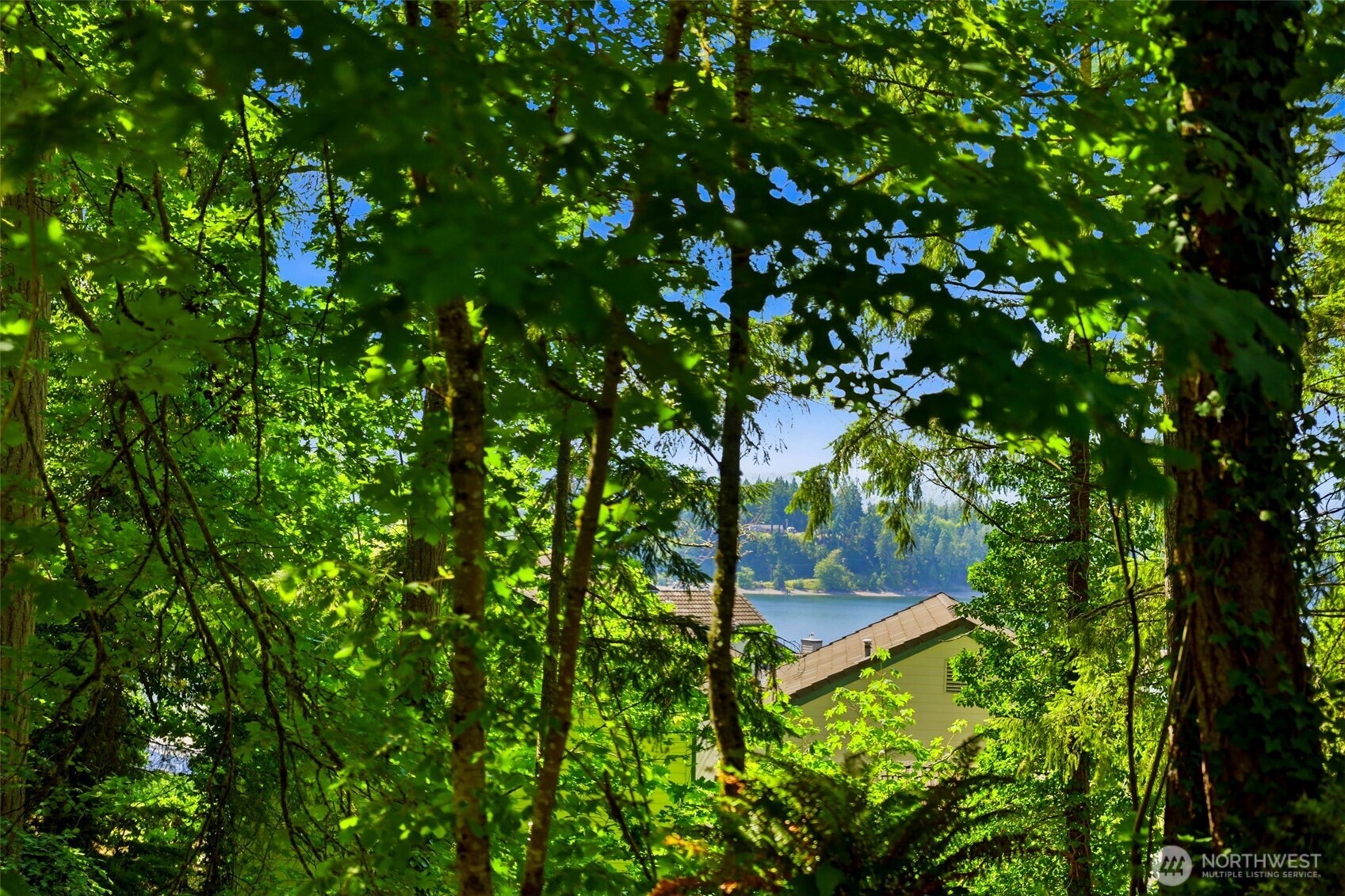 306 Keach Loop Steilacoom, WA 98388 - Photo 3 of 37