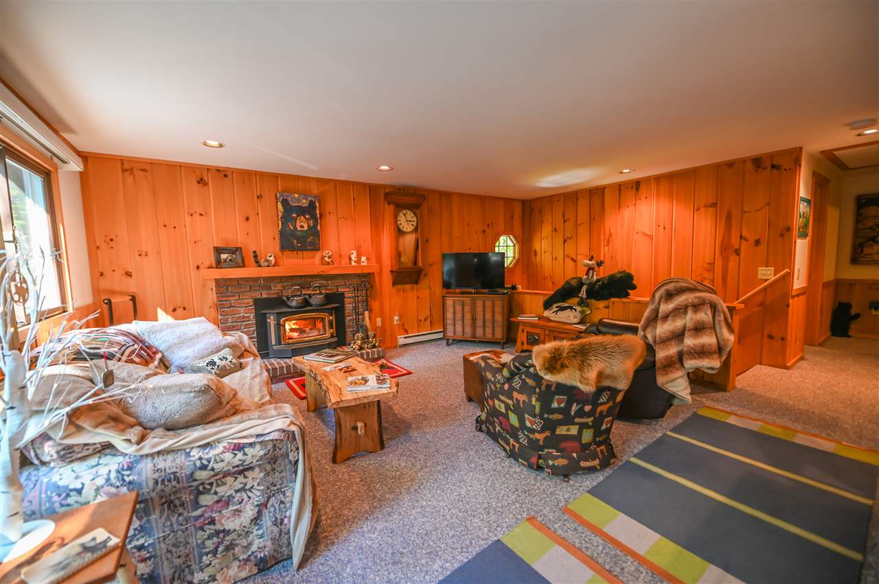 49 Mountain View Road Wilmington, VT 05363 - Photo 3 of 20