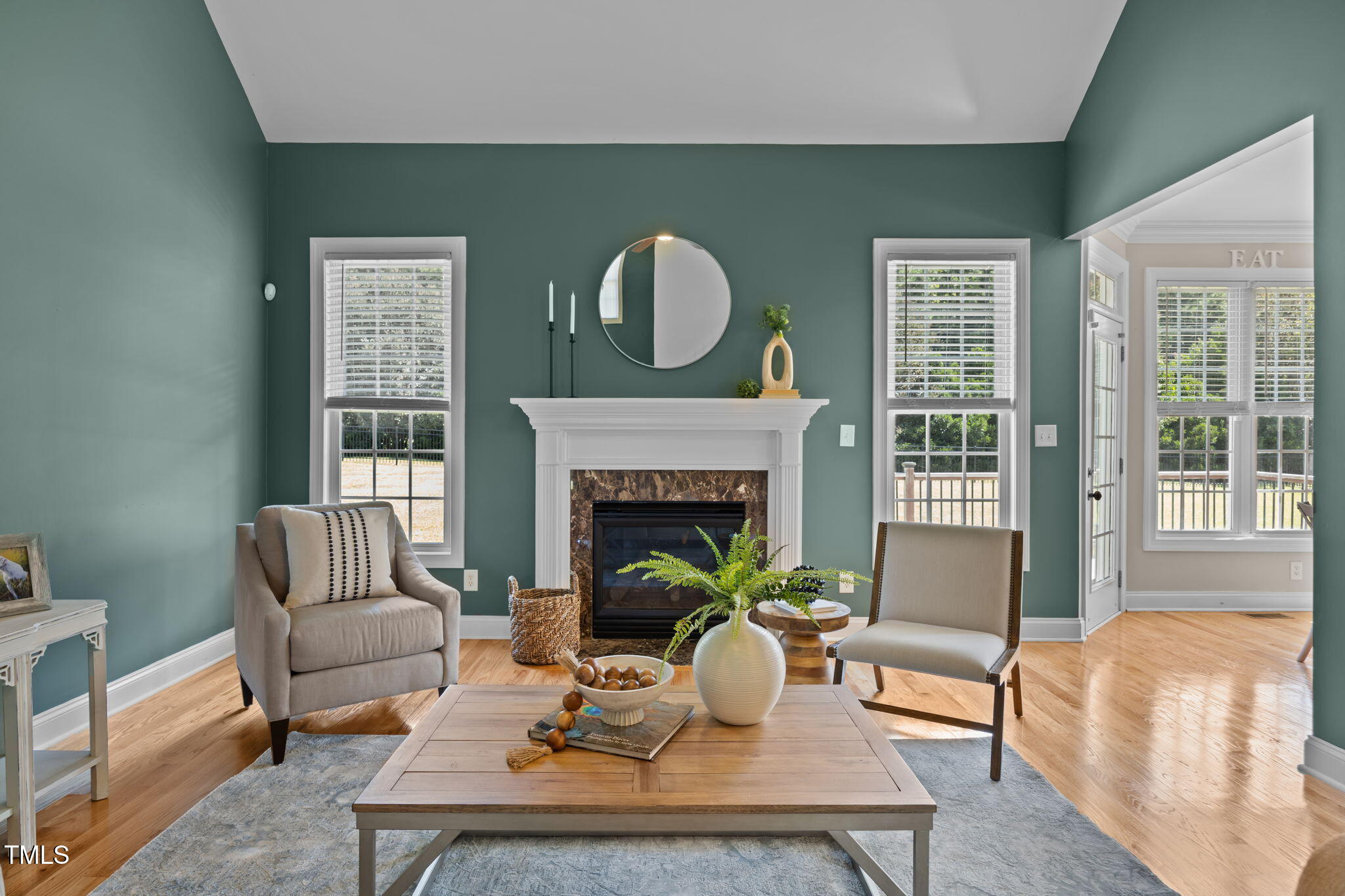 6313 Southern Charm Lane Raleigh, NC 27603 - Photo 2 of 38 a living room with furniture potted plant and a fireplace