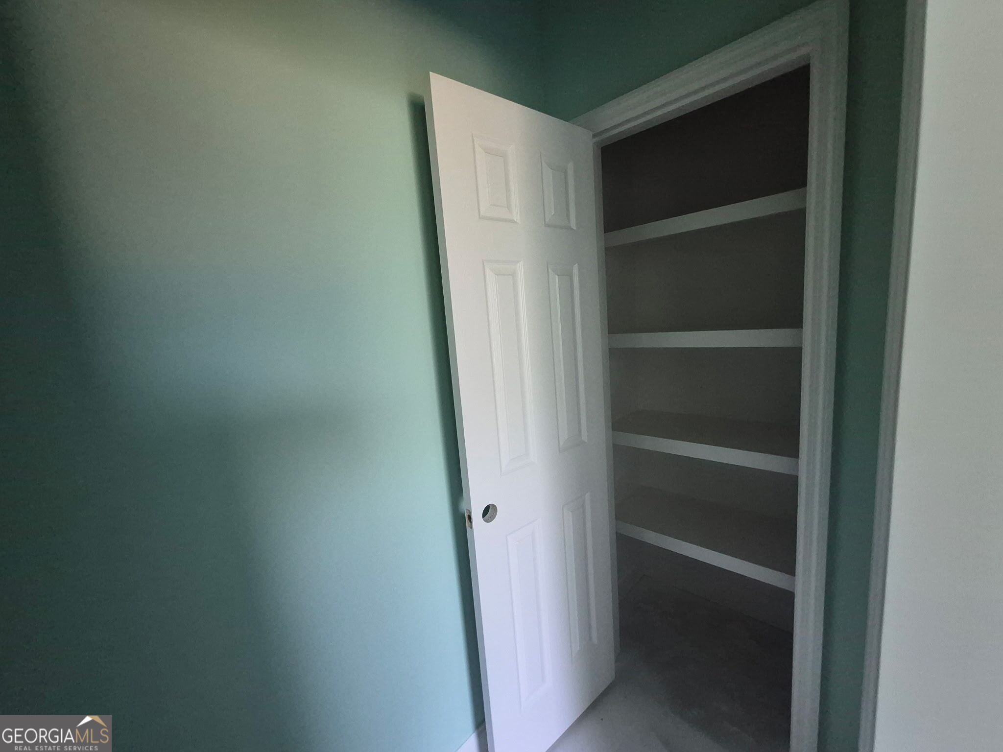 108 Ira Corbitt Road Lakeland, GA 31635 - Photo 19 of 23 a view of walk in closet with empty racks