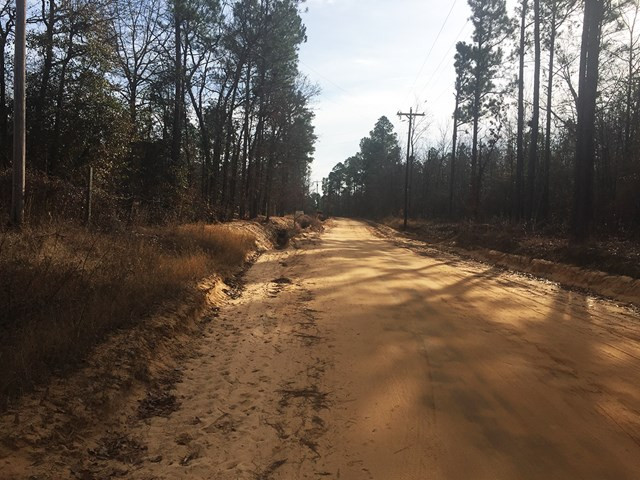 940 Camp Gravatt Road Aiken, SC 29805 - Photo 2 of 10 a view of backyard with green space