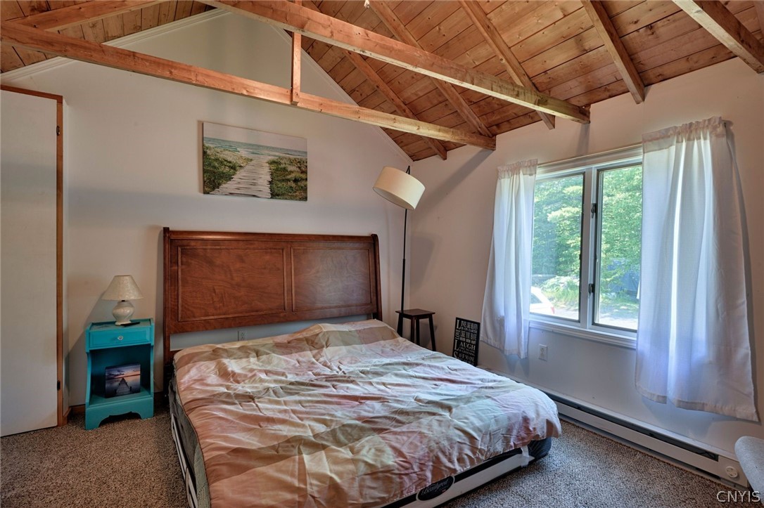 48435 Goose Bay Road Alexandria, NY 13679 - Photo 18 of 21