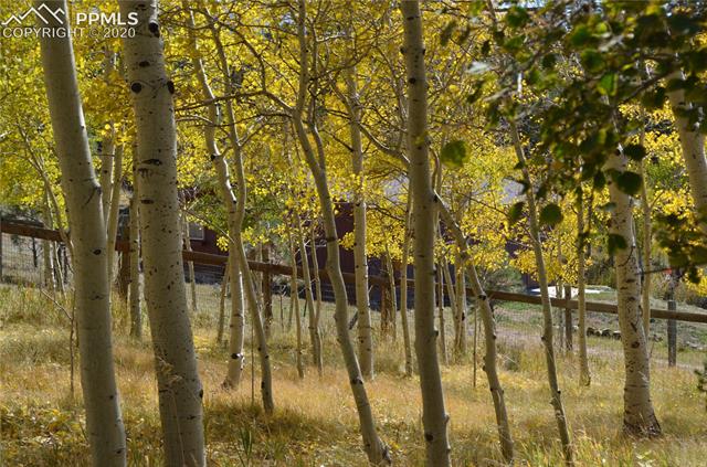 240 Ridge Top Drive Divide, CO 80814 - Photo 29 of 38