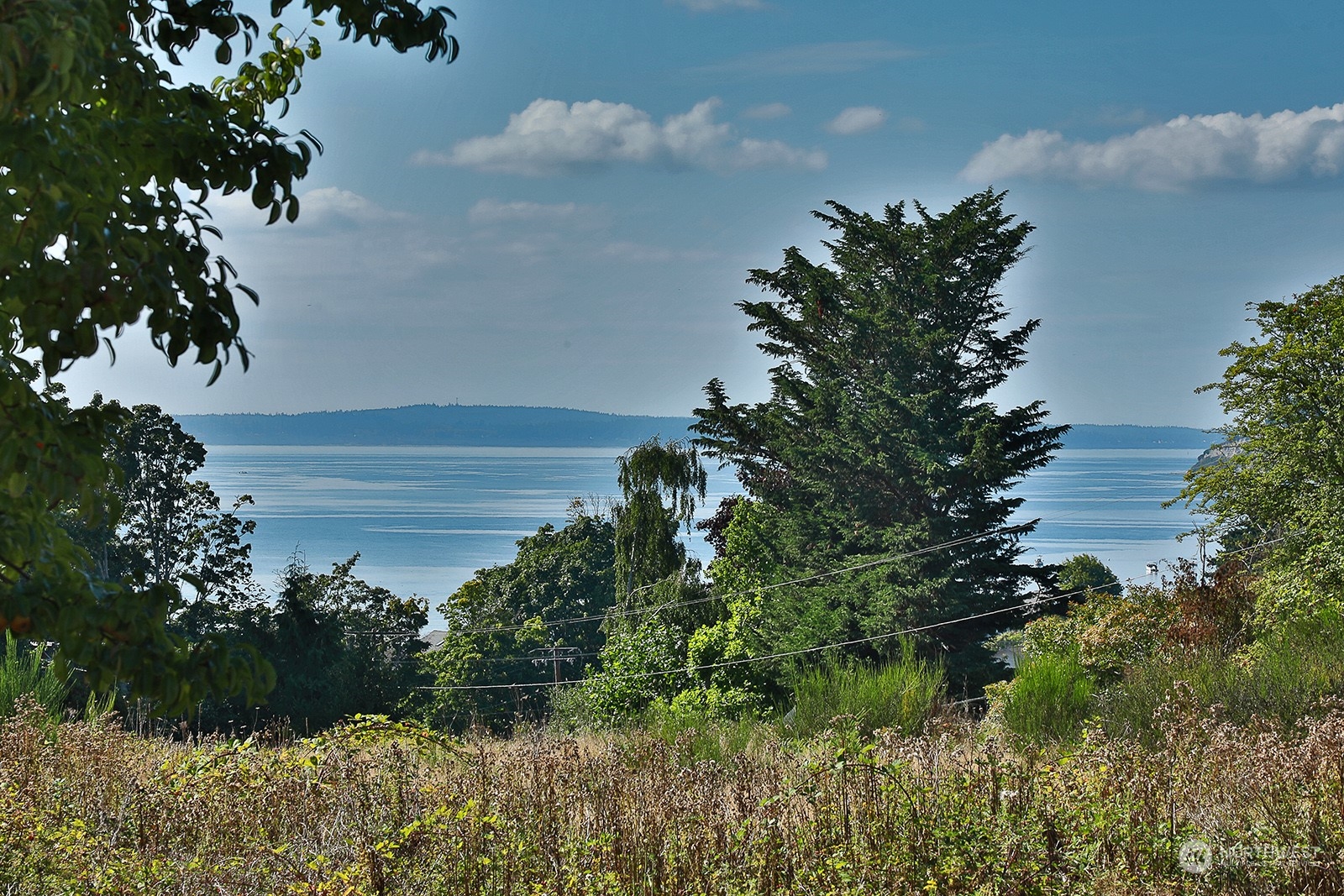 a view of a lake with a yard