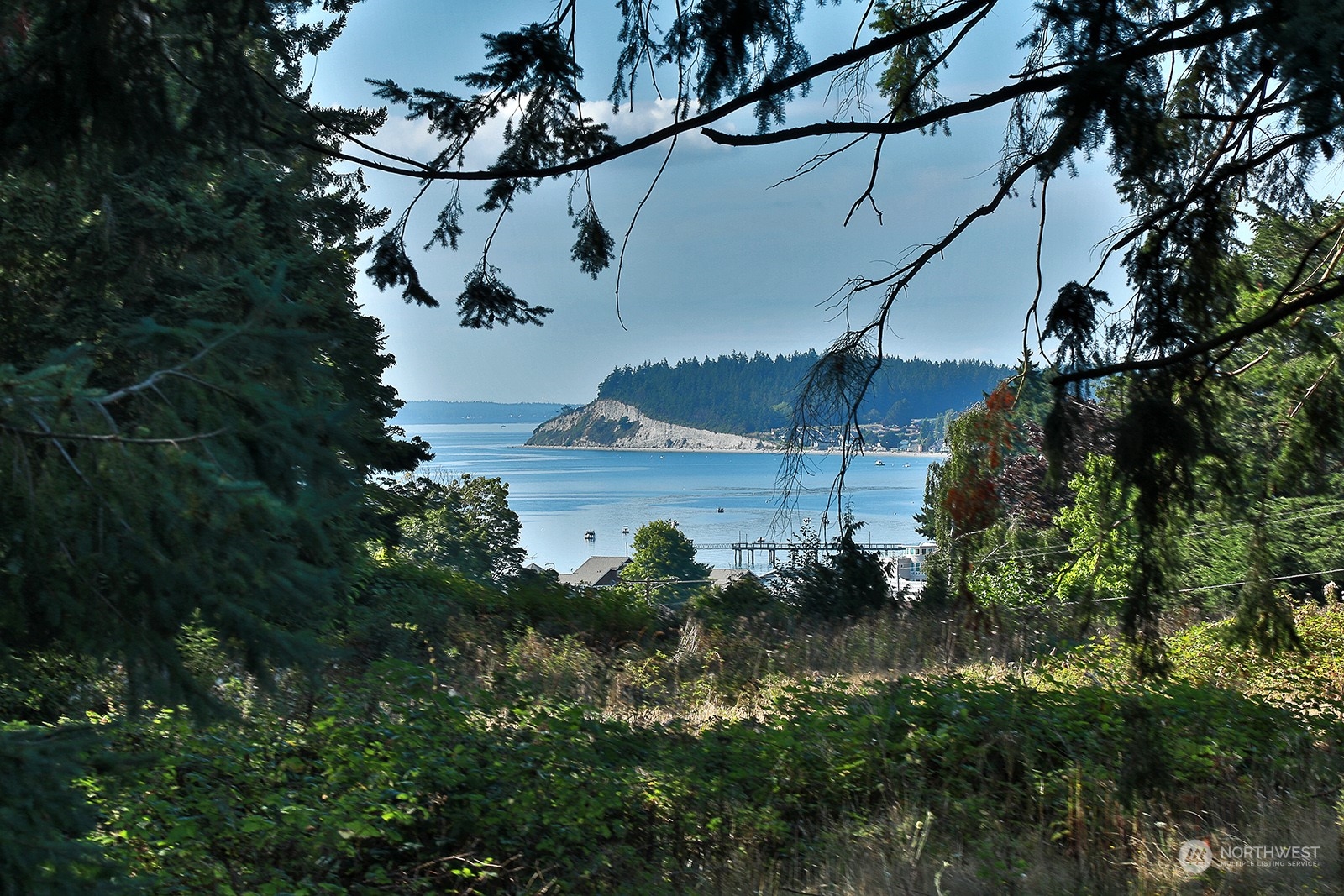 6018 Wahl Road Freeland, WA 98249 - Photo 13 of 27 a view of lake