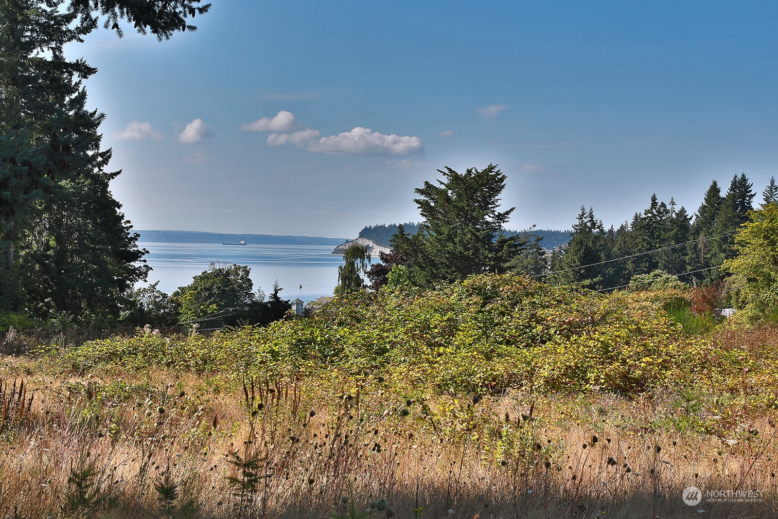 6018 Wahl Road Freeland, WA 98249 - Photo 2 of 27 a view of a yard and mountain view in back