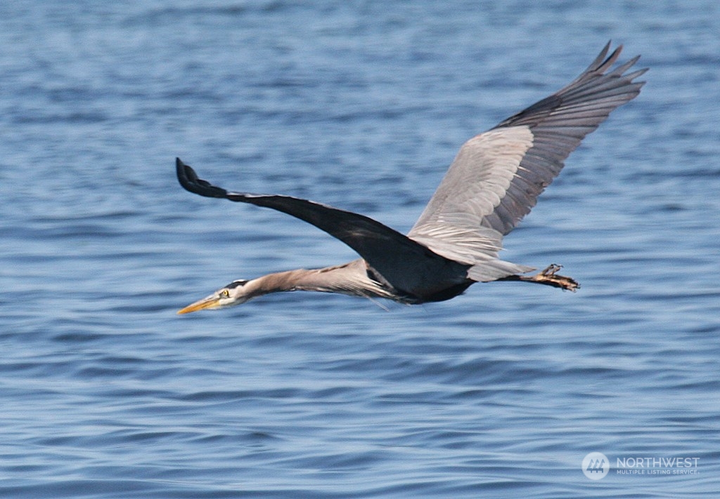 6018 Wahl Road Freeland, WA 98249 - Photo 22 of 27 a view of entryway and hall