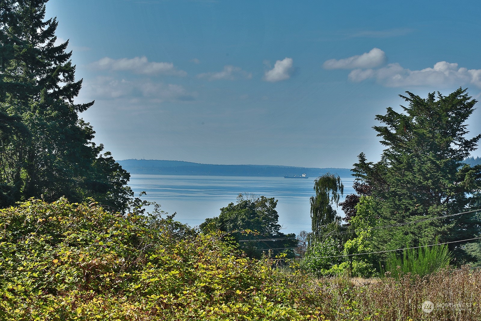 6018 Wahl Road Freeland, WA 98249 - Photo 3 of 27 a view of a flower