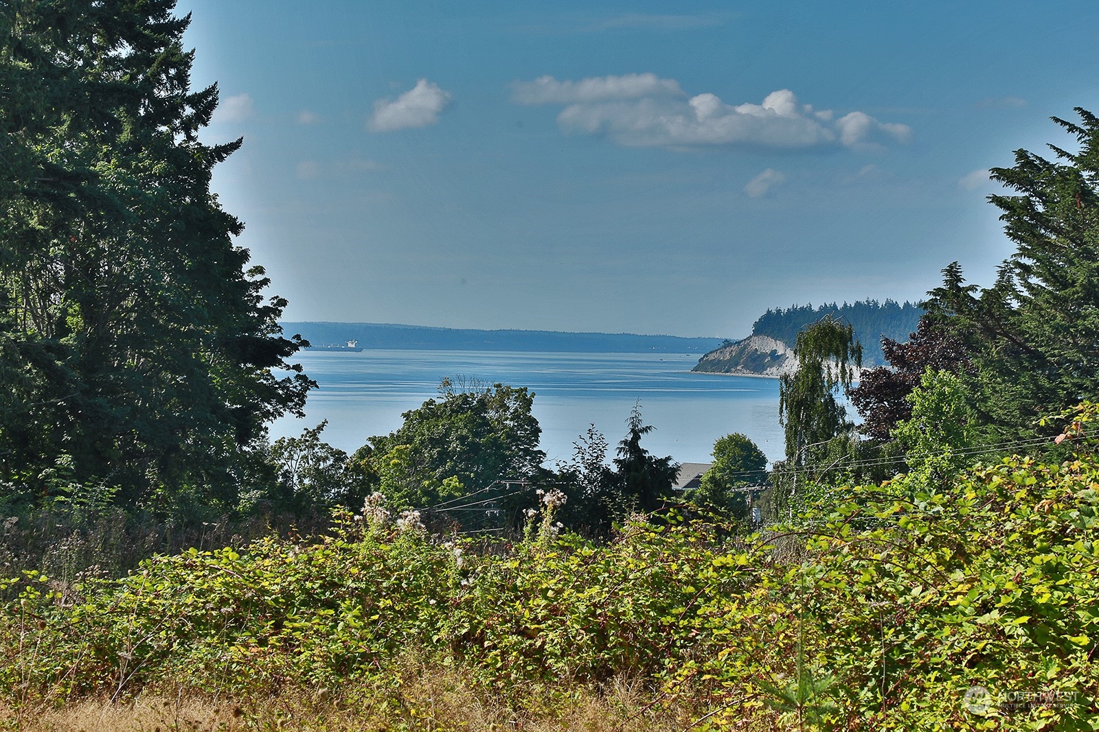 6018 Wahl Road Freeland, WA 98249 - Photo 4 of 27 a view of a garden