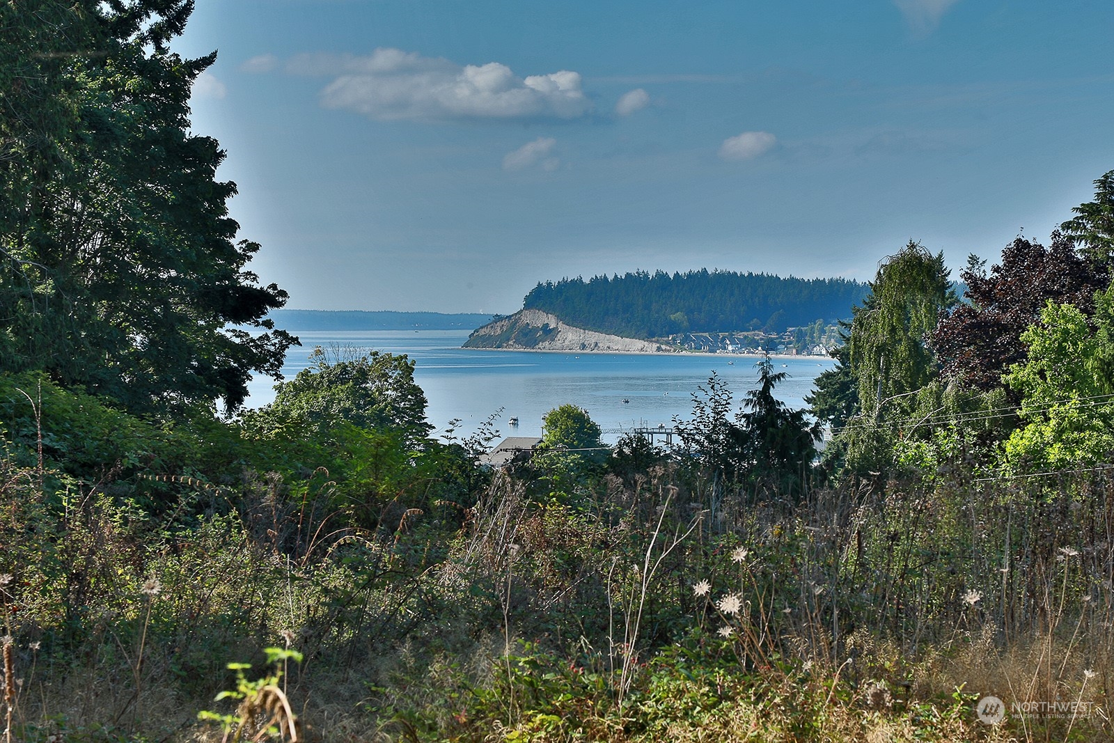 6018 Wahl Road Freeland, WA 98249 - Photo 5 of 27 a view of a lake with a yard