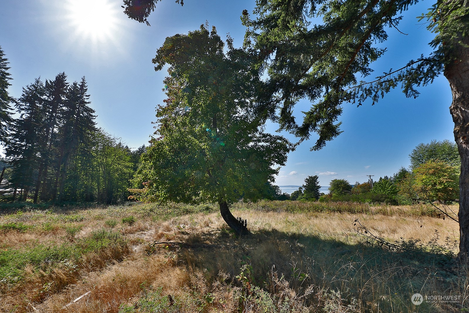 6018 Wahl Road Freeland, WA 98249 - Photo 6 of 27 a view of a lake with a yard and mountain view