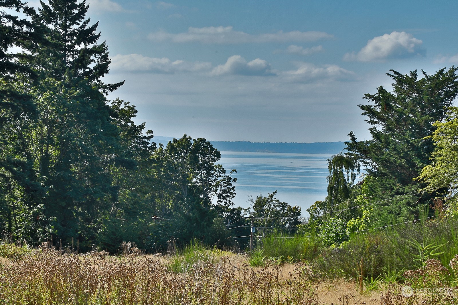 6018 Wahl Road Freeland, WA 98249 - Photo 7 of 27 a view of a lake