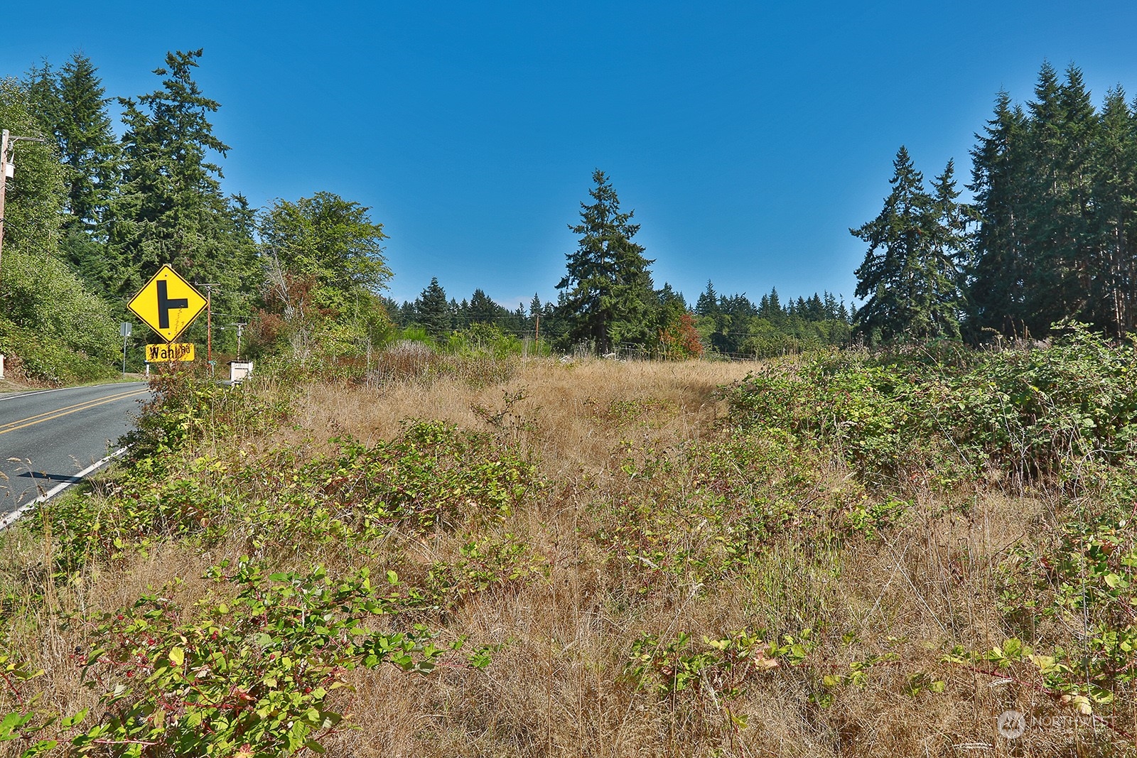 6018 Wahl Road Freeland, WA 98249 - Photo 9 of 27 a view of a yard