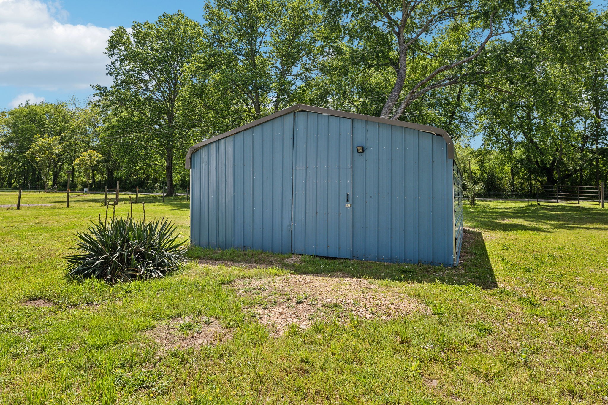 161 Longbranch Road Hohenwald, TN 38462 - Photo 28 of 28 a view of backyard with large trees and plants