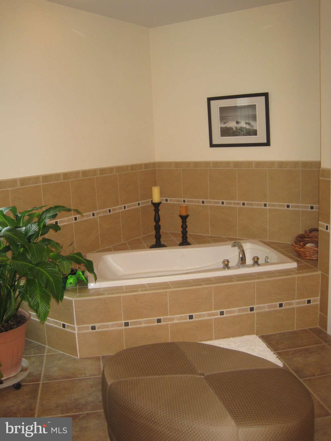 8112 Higham Road Lorton, VA 22079 - Photo 12 of 25 Bath (Master)