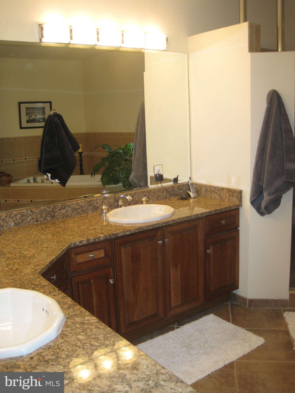 8112 Higham Road Lorton, VA 22079 - Photo 13 of 25 Bath (Master)
