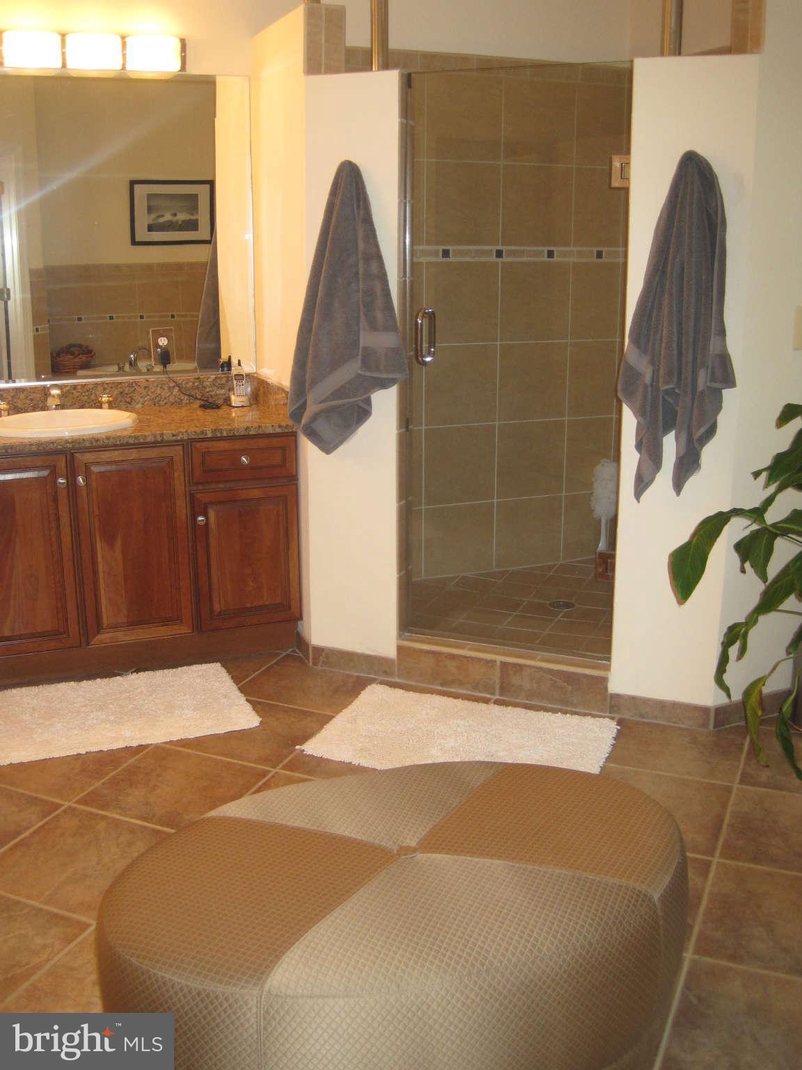 8112 Higham Road Lorton, VA 22079 - Photo 14 of 25 Bath (Master)