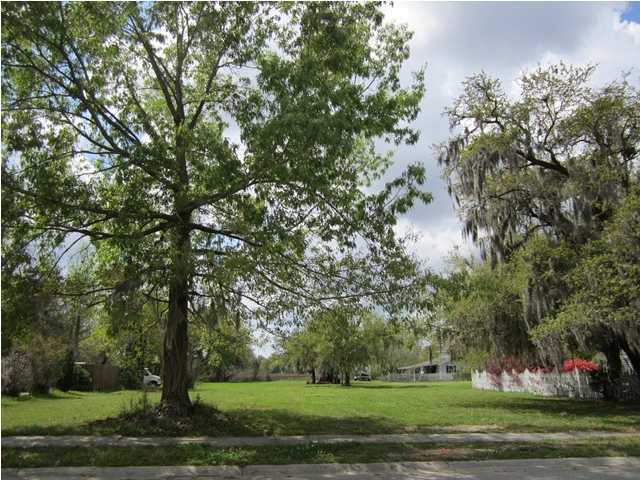0 Pristine View Road Charleston, SC 29414 - Photo 1 of 4 Primary Photo