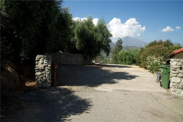 a view of a yard with plants and trees