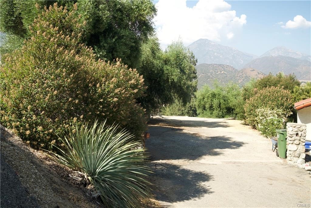 4064 Olive Knoll Place Claremont, CA 91711 - Photo 26 of 26 a view of a yard with plants and trees