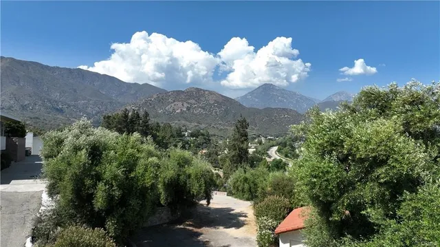 a view of a flower in a garden