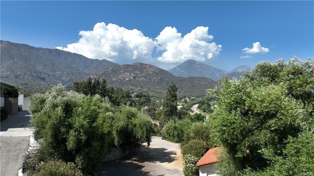 4064 Olive Knoll Place Claremont, CA 91711 - Photo 3 of 26 a view of a flower in a garden