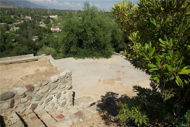 a view of a yard with a tree